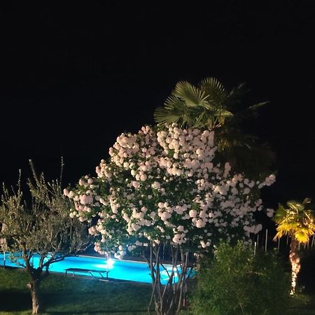 Mareithof Appartements Seeblick Caldaro Εξωτερικό φωτογραφία